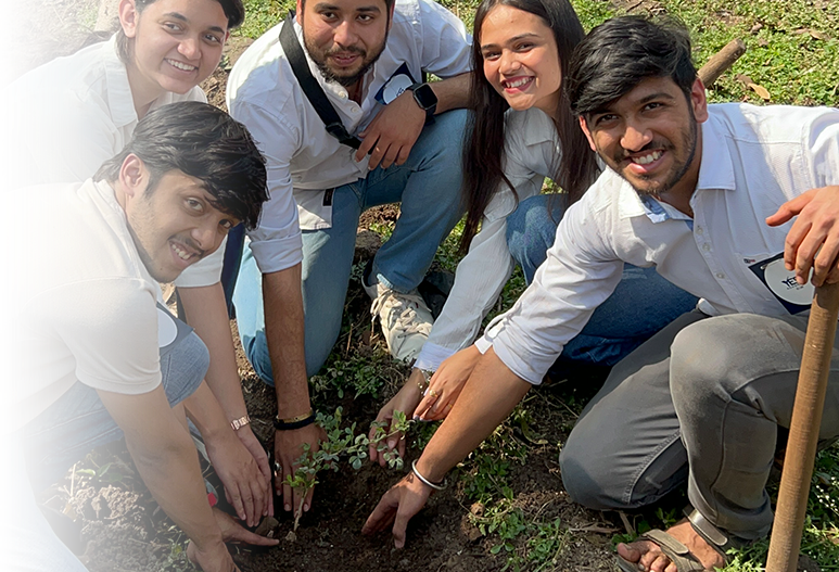 Tree Plantation Initiative